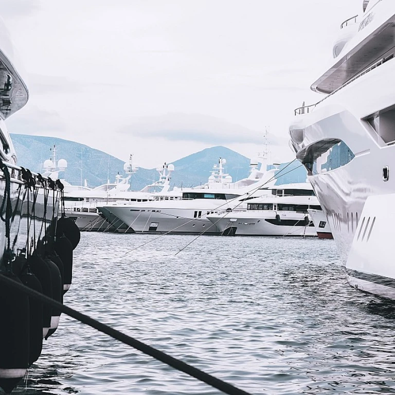 Yacht club festival: a deep dive into the maritime extravaganza